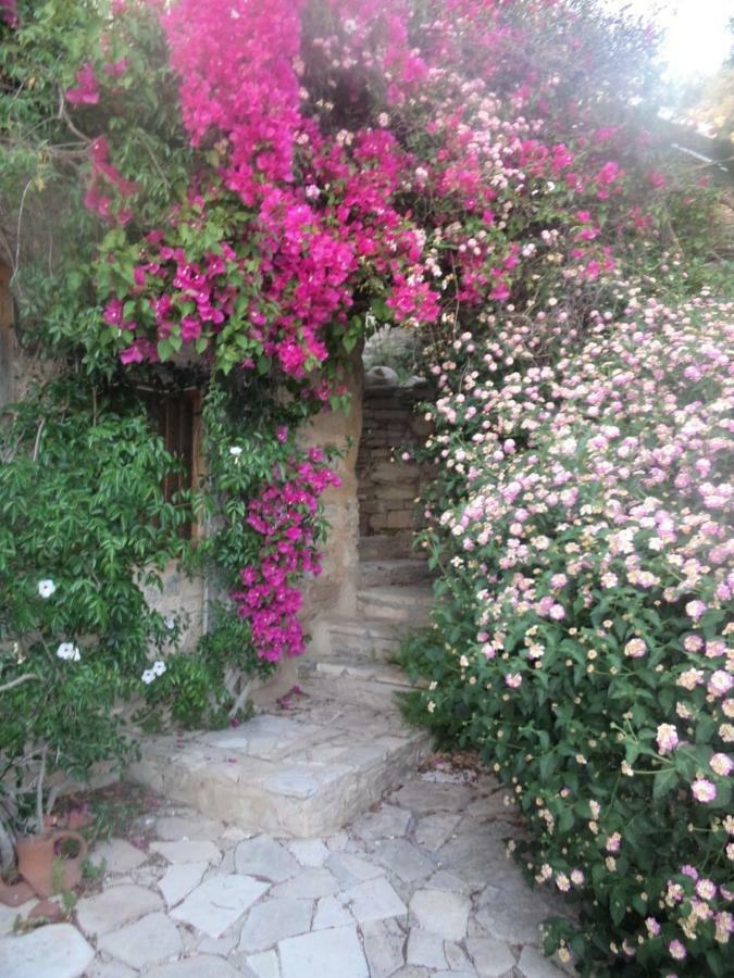 Oleander Stone House Villa Lemona Exterior photo